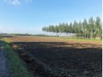 Terreno di 9000 m² in vendita a Bomporto