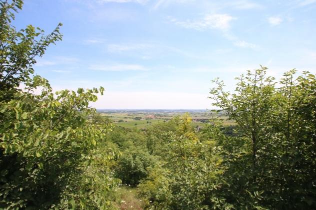 Bosco in vendita a Castegnero - Foto 4