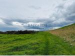 TERRENO AGRICOLO FORLI' – SAN MARTINO DI VILLAFRANCA – VIA MEZZADRI 19