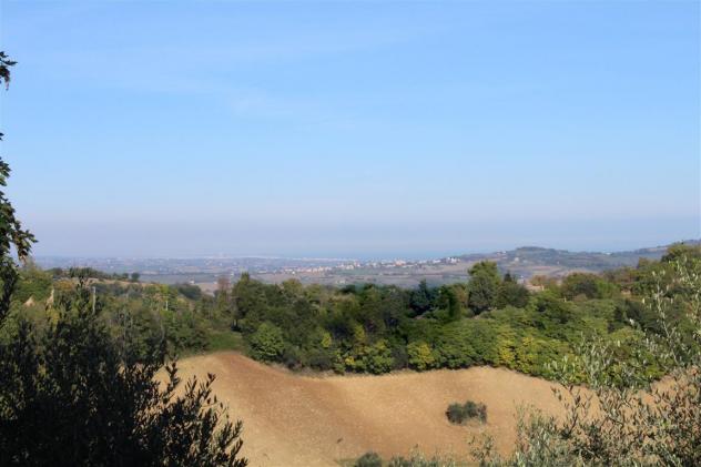 Casolare ristrutturato con vista panoramica, uliveto e garage – Un’oasi di pace tra colline e mare - Foto 13