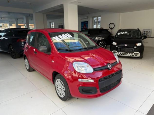 FIAT Panda 1.0 FireFly S&S Hybrid Pop da €139,00 mensili rif. 23353166 - Foto 3