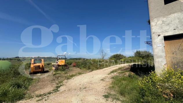 Terreno Agricolo - Roseto degli Abruzzi . Rif.: Cod. rif A132VRG - Foto 6