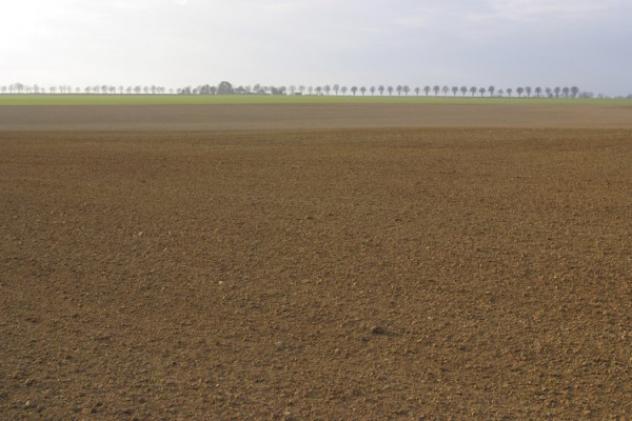 Terreno di 3836 m² in vendita a San Prospero
