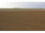 Terreno di 3836 m² in vendita a San Prospero