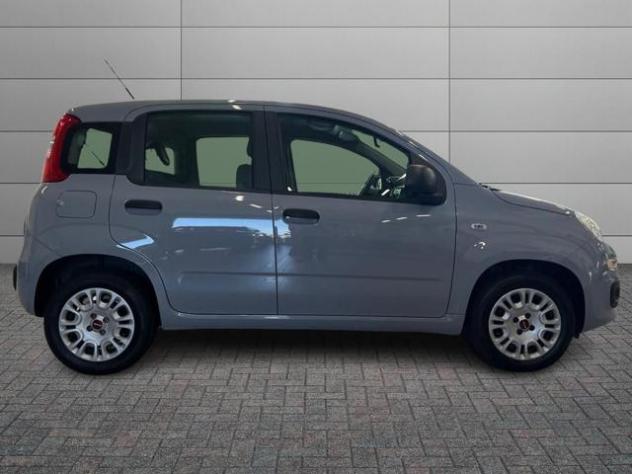 FIAT Panda 1.2 Easy rif. 23921834 - Foto 3