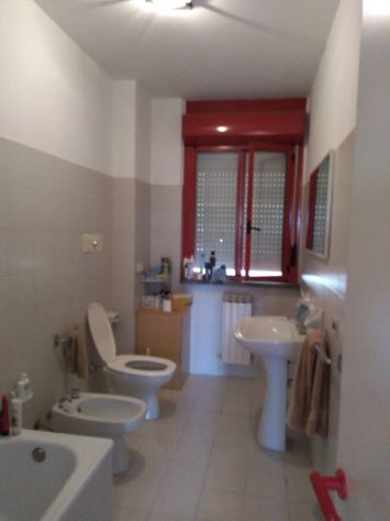 Camera singola grande a Urbino zona Scienze Motorie Ospedale Euro 260 - Foto 6