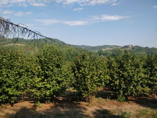 NOCCIOLE Casa e Spazi per Ulteriori Esigenze - Foto 4