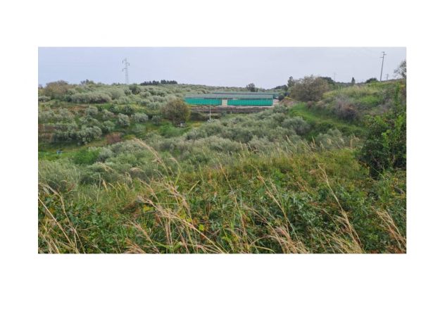 Terreno agricolo in C.da Rosa Terme Vigliatore - Foto 2