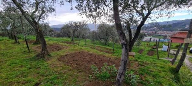Casa semindipendente in vendita a Arcola 150 mq Rif: 1240424 - Foto 2