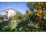 Villa in vendita a Pontasserchio - San Giuliano Terme 300 mq  Rif: 1243305