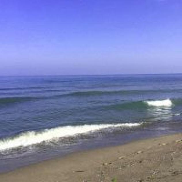 Camping La Pineta S.r.l. - Foto 3