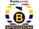 servizio autista automunito