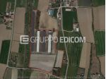 Fabbricati costruiti per esigenze commerciali di 7323 mq  in vendita a Font &hellip;