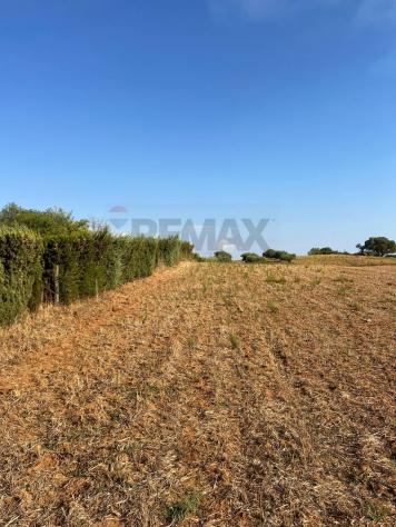 Terreno in vendita a Caltagirone, Piano San Paolo - Foto 4