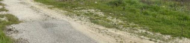 Immobile in asta di 79900 m² in vendita a Feroleto Antico - Foto 5