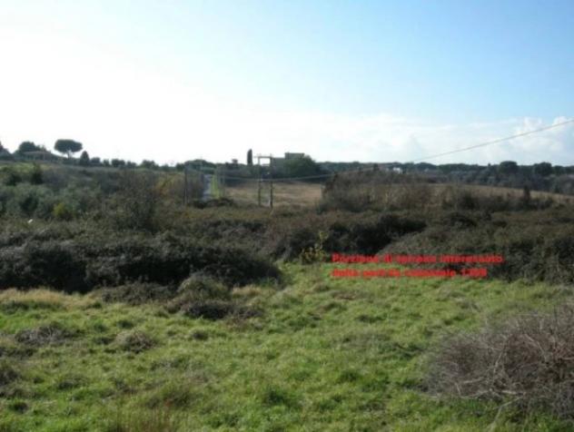 Immobile in asta di 6756 m² in vendita a Marino - Foto 6