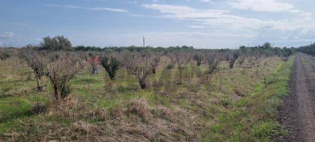Terreno in vendita a Paternò - Foto 8