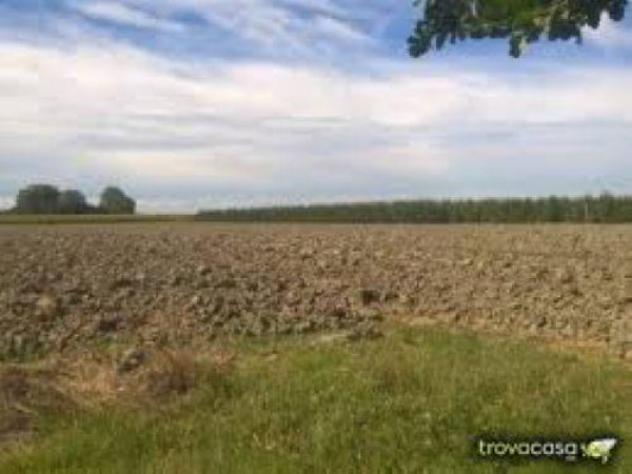 Terreno di 78000 m² in vendita a San Prospero - Foto 9