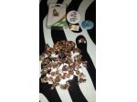 LOTTO SPILLE PINS EXPO 2015 MILANO