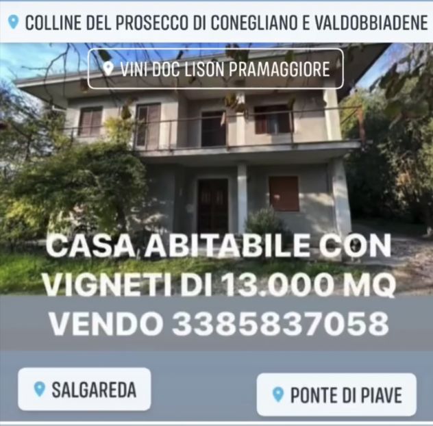 Villa prestigiosa in pieno centro di Ponte di Piave - Foto 6
