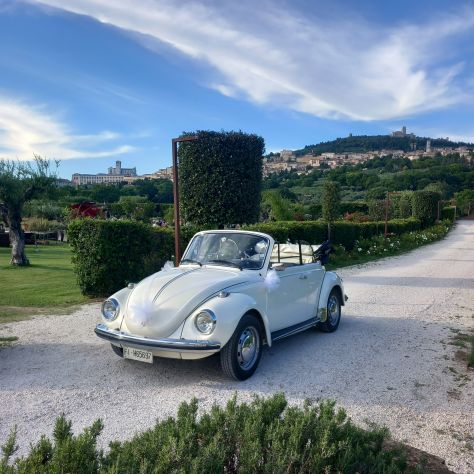 Noleggio Maggiolino Cabrio - Foto 4