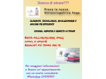 Hai bisogno di una StirAsciugatrice