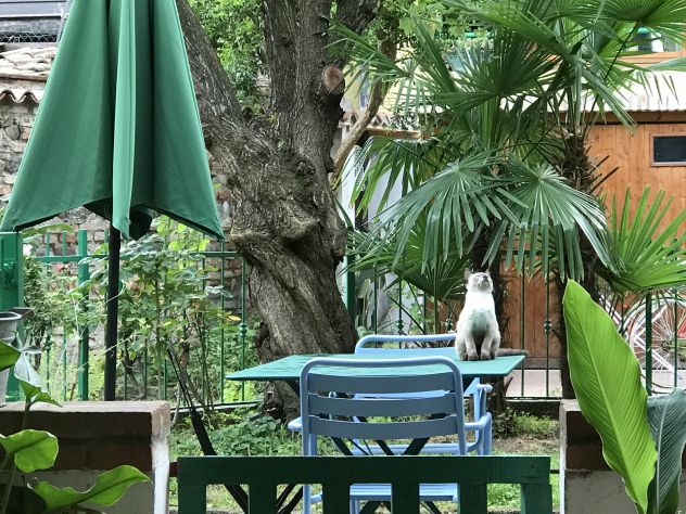 casa in affitto transitorio - Foto 4