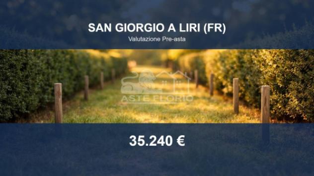Immobile in asta di 15224 m² in vendita a San Giorgio a Liri