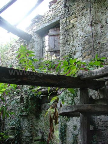 Rustico di frantoio ad acqua con giardino. - Foto 3