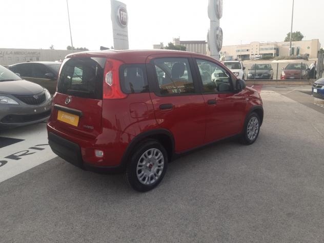 FIAT Panda 1.0 FireFly S&S Hybrid - Foto 6