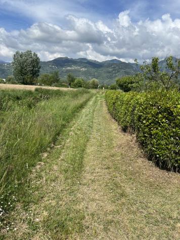 TERRENO AGRICOLO di 7000 mq (PIETRASANTA) rif. 167 - Foto 3