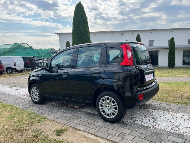 FIAT Panda 1.0 FireFly 70cv S&S Hybrid 5 posti - Foto 2