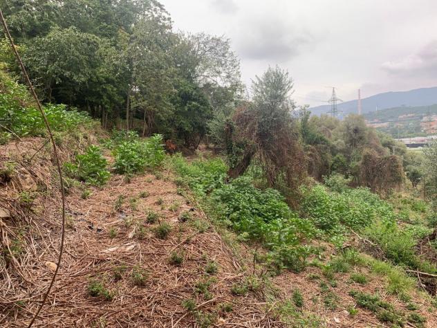 Terreno edificabile in vendita a Quiliano - Foto 8