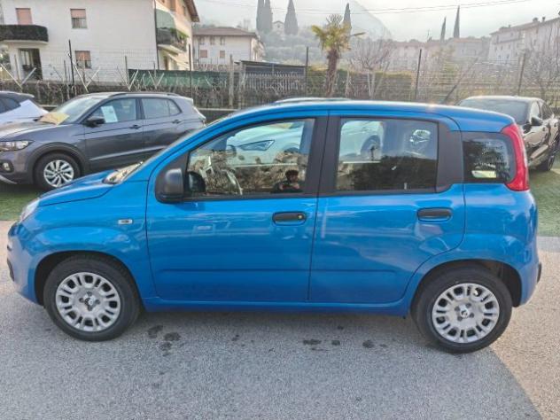 FIAT Panda 1.0 FireFly S&S Hybrid Pop rif. 23302510 - Foto 2