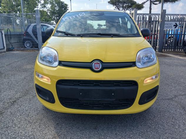 Fiat Panda 1.0 FireFly S&S Hybrid Pandina - Foto 2