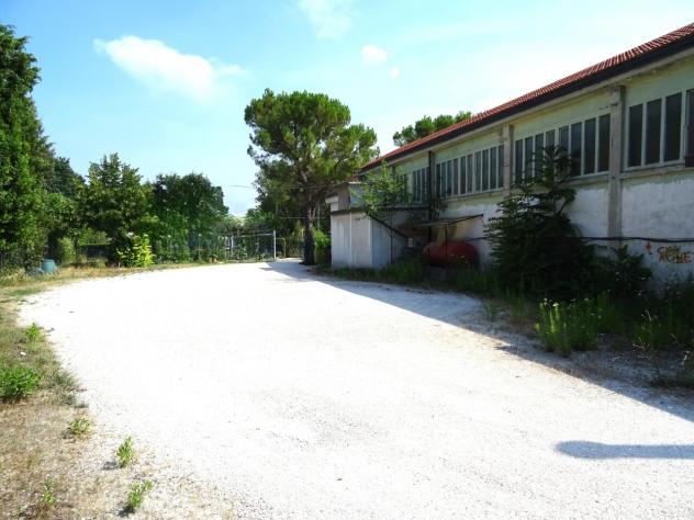 Capannone / Fondo in affitto a Mondavio - Foto 6