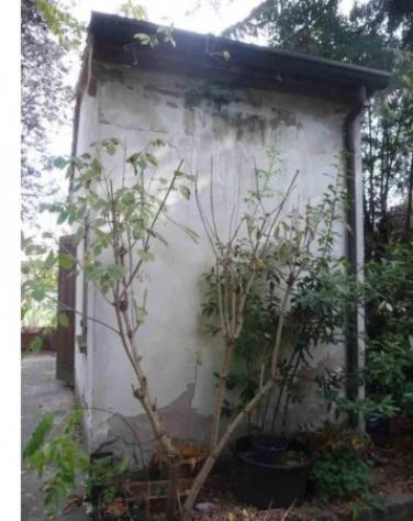 Immobile in asta di 759 m² con più di 5 locali e box auto in vendita a Concamarise - Foto 6