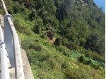 TERRENO da VIGNETO 5 terre