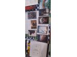 dungeons & dragons collector's quest