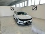 VOLKSWAGEN Passat Variant 2.0 TDI SCR EVO DSG BUSINESS rif. 23675649