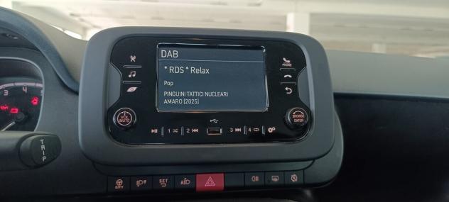 Fiat Panda 1.0 FireFly S&S Hybrid - Foto 7
