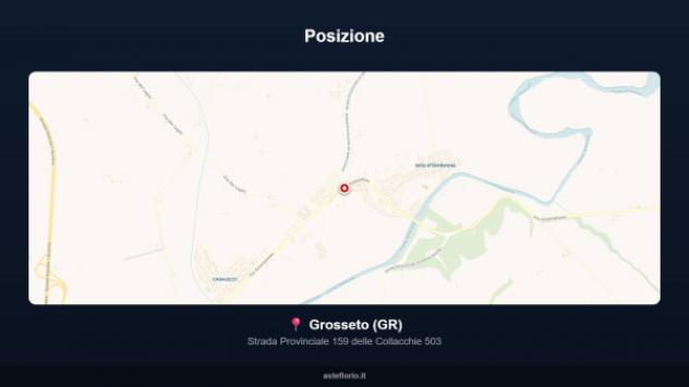 Immobile in asta di 344 m² con più di 5 locali e box auto in vendita a Grosseto - Foto 17