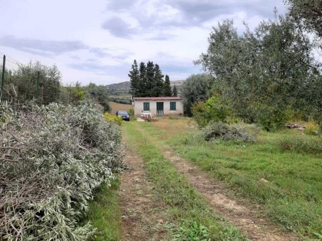 Uliveto in vendita a Siracusa