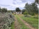 Uliveto in vendita a Siracusa