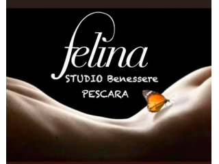 * FELINA STUDIO * . .  TUTTO QUELLO CHE DA ALTRE PARTI NON TROVI