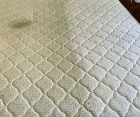 Lavaggio e pulizia professionale divani e materassi a domicilio - Foto 4