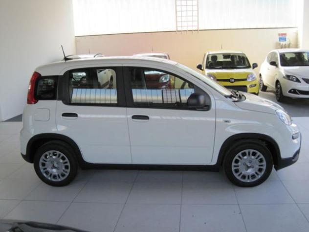 FIAT Panda 1.0 FireFly S&S Hybrid rif. 21416888 - Foto 4