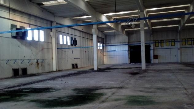 Industriale/Artigianale in affitto a Modugno - Foto 15
