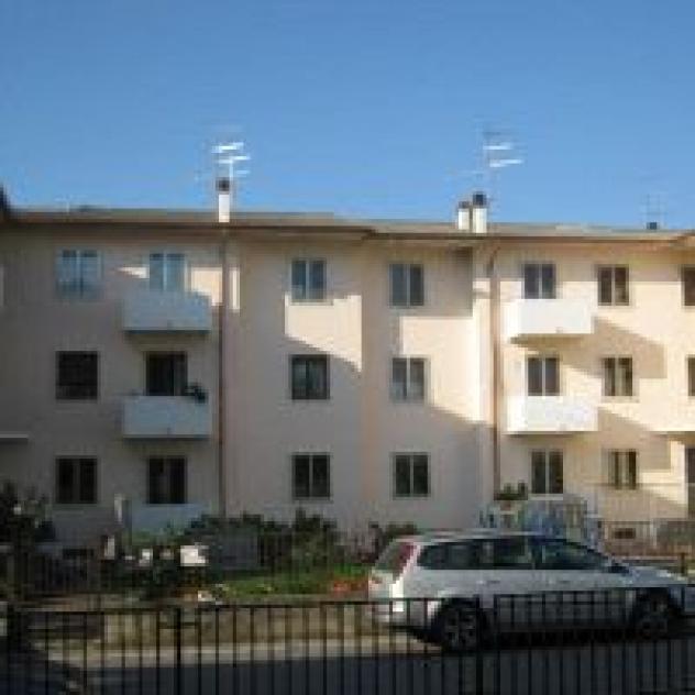 Decorazioni Bolcato Stefano - Foto 3