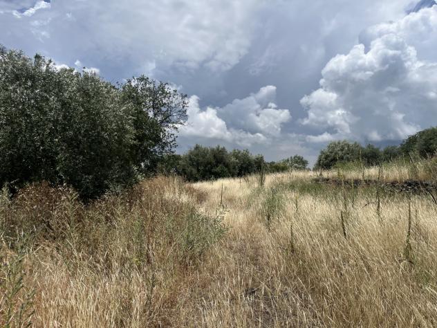 Agricolo in vendita a Belpasso - Foto 4